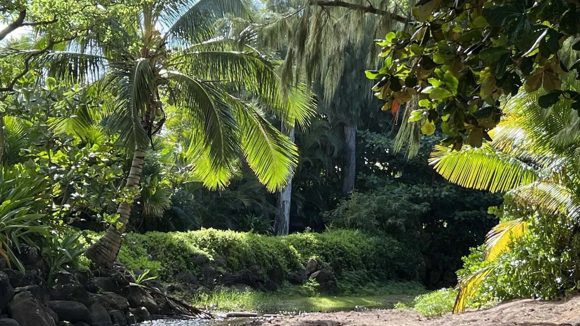 Islander On The Beach 154 Kapa'a Daire